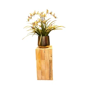 Orchidee