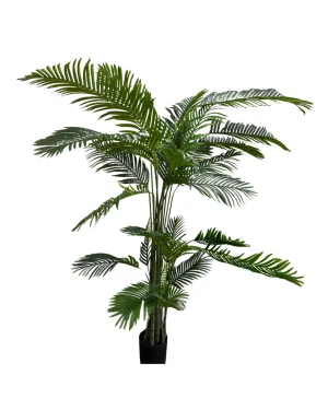 Palm