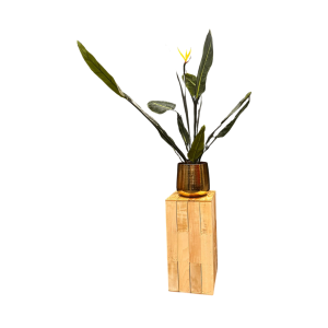 Paradijsvogelplant